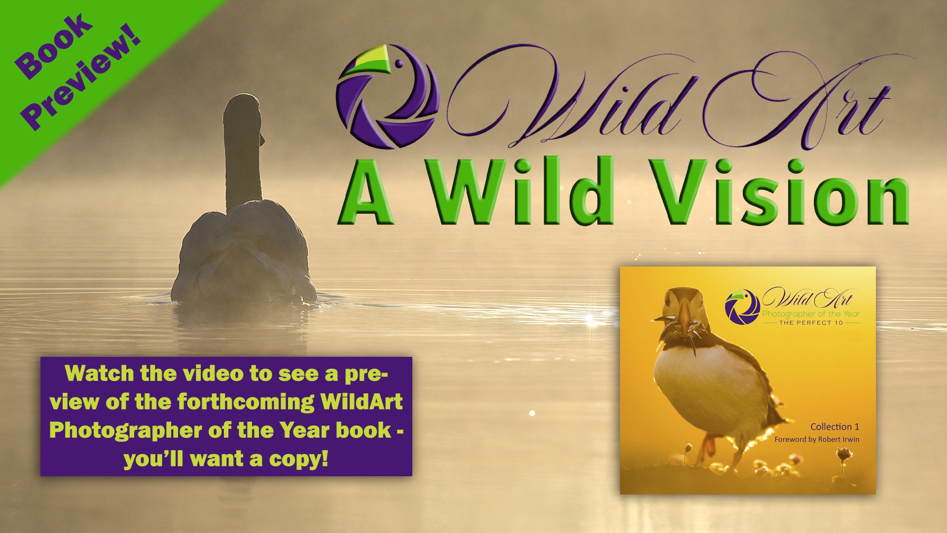 WildArt 2021 Book Preview