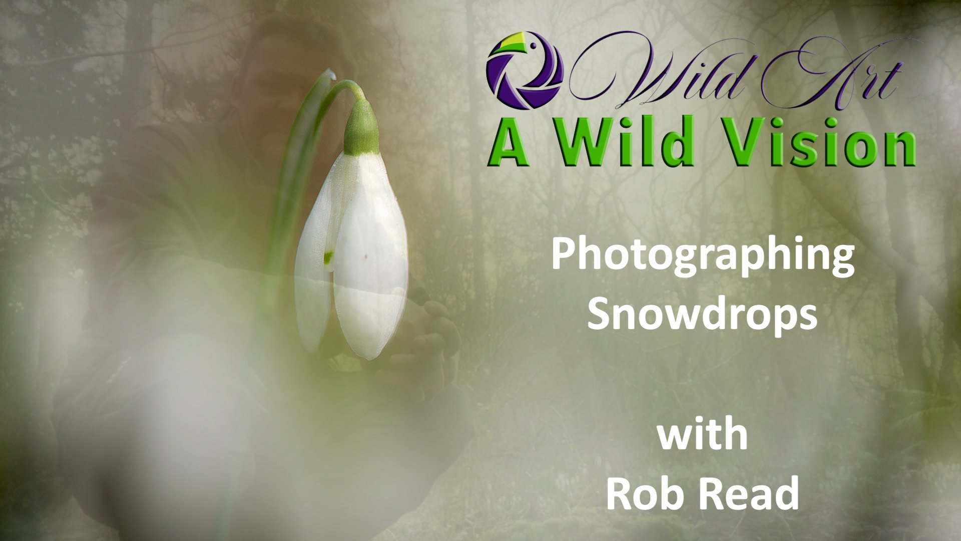 Photographing Snowdrops