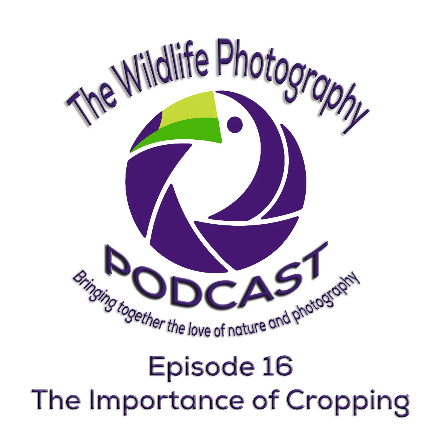 Episode 16 - The Importance of Cropping