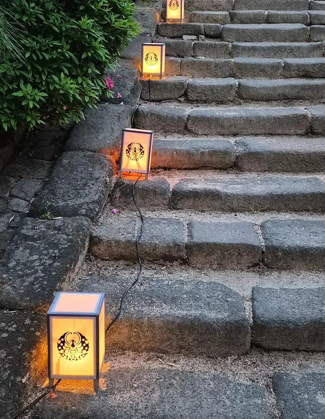 graphiste expert japon paris