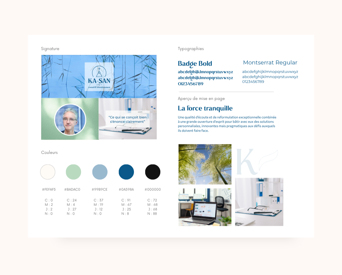 graphiste charte graphique cabinet conseil