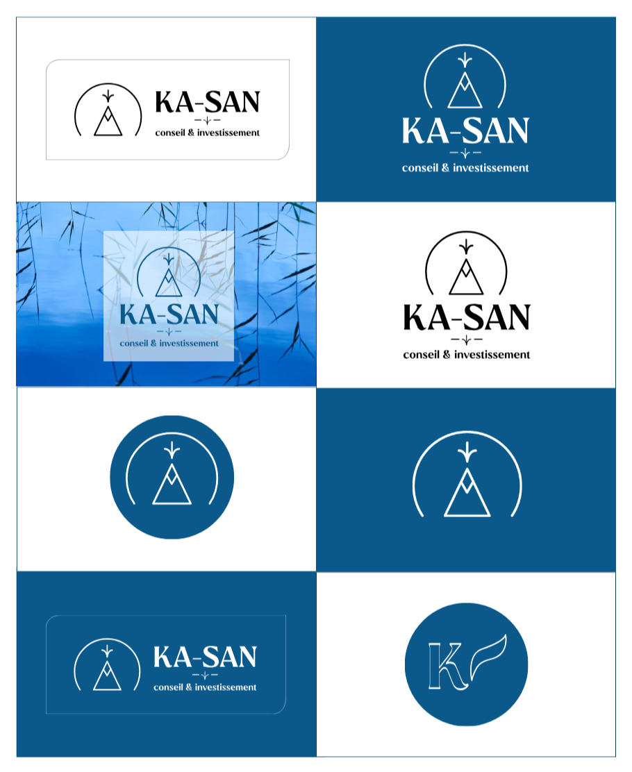 declinaisons logo cabinet conseil