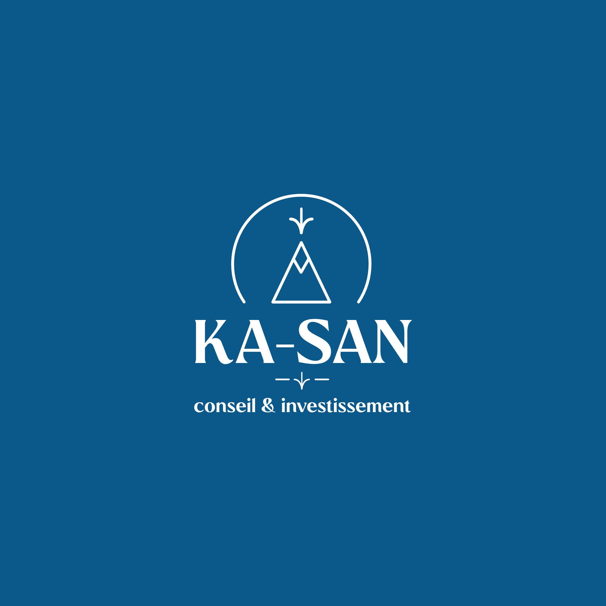 creation logo cabinet conseil