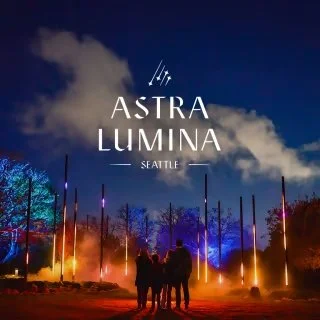 Astra Lumina: An Enchanted Night Walk