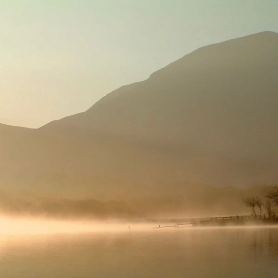 This is for you, Adam. I&rsquo;ve just learn that you are in the sky now looking upon us. 
Deeply saddened by your sudden departure&hellip;I&rsquo;ll miss our creative &amp; soulful exchanges; your generosity in connecting people, being present and c