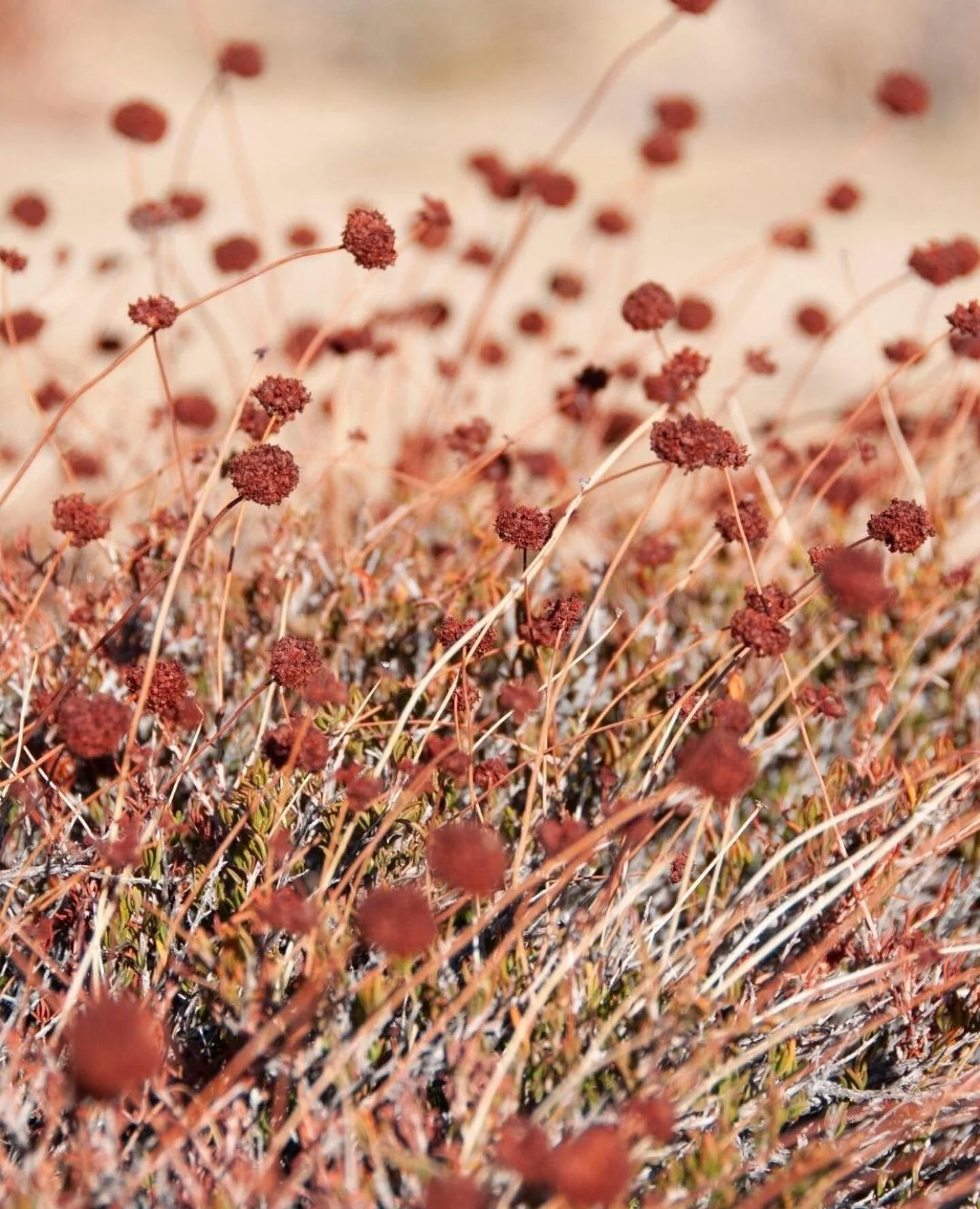 Find ur place in d cosmo. 

Many shamans believe that if you fall sick is because you have lost your destiny and fallen into the grip of faith. 

&ldquo;Until you make unconscious conscious it will direct ur life and you will call it faith&rdquo; #ca