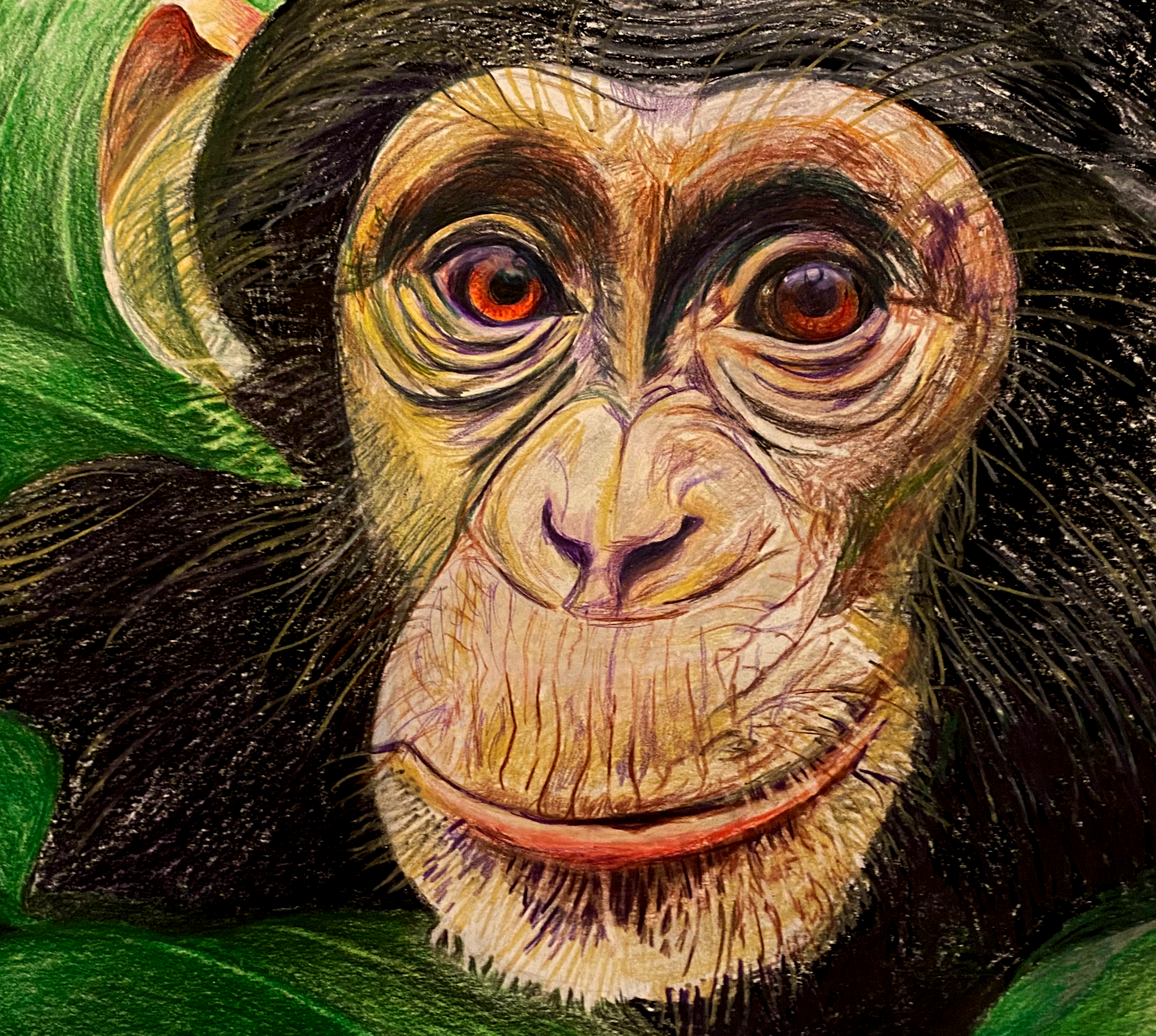 Monkey photoshop.png