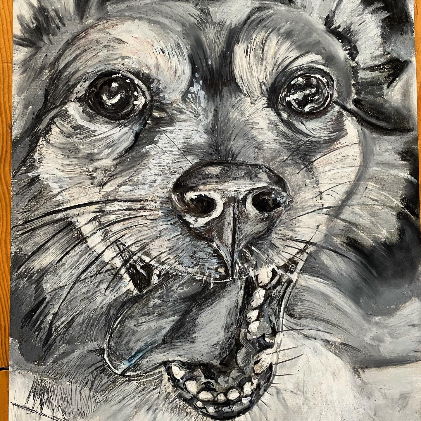 Relook at this little lady X #petportraitartist #petportraits #petpaintings #petlover #doglife #portraitpainting