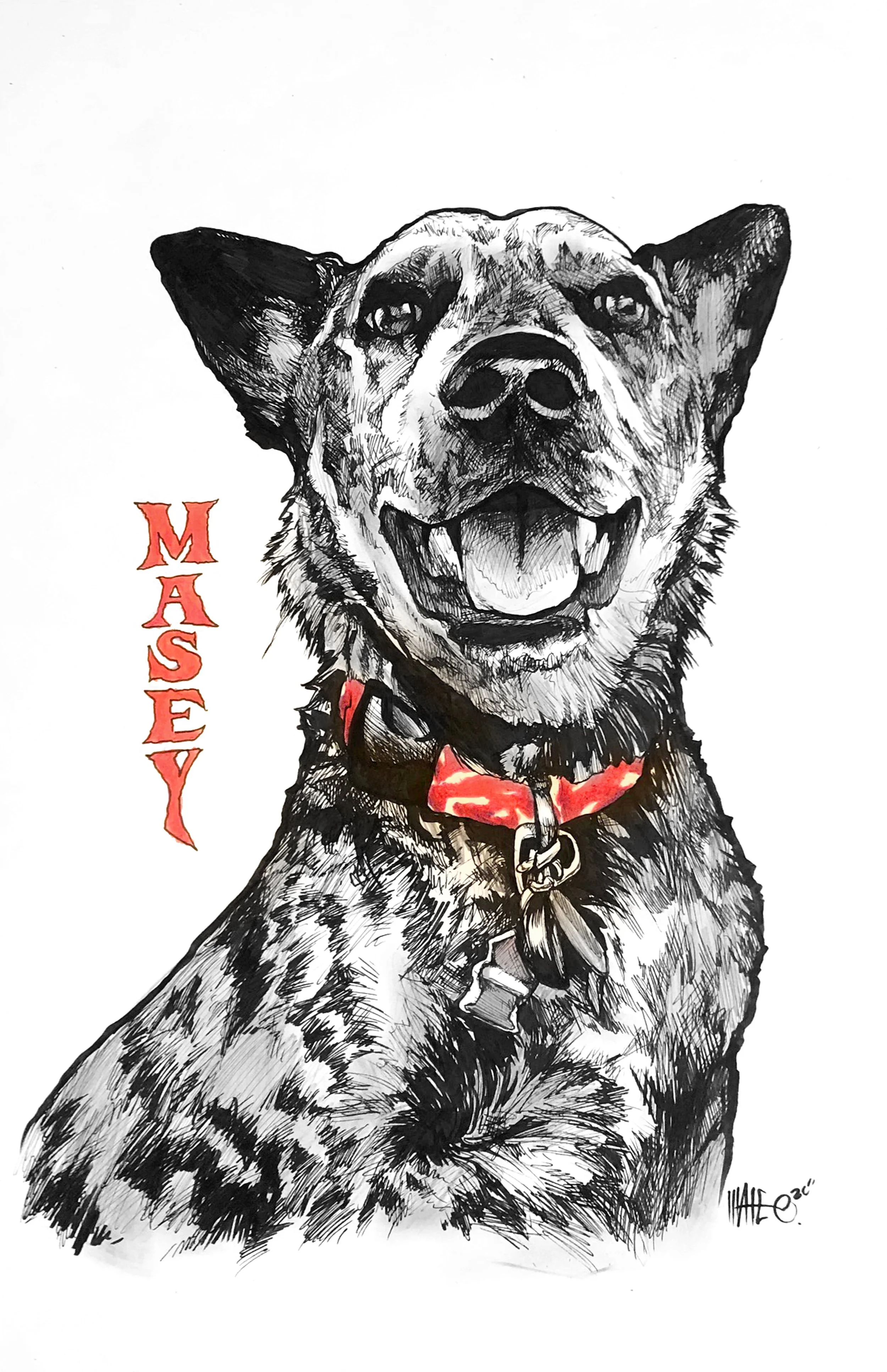 Masey1.jpg