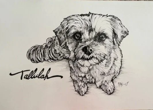 Tallulah.jpg