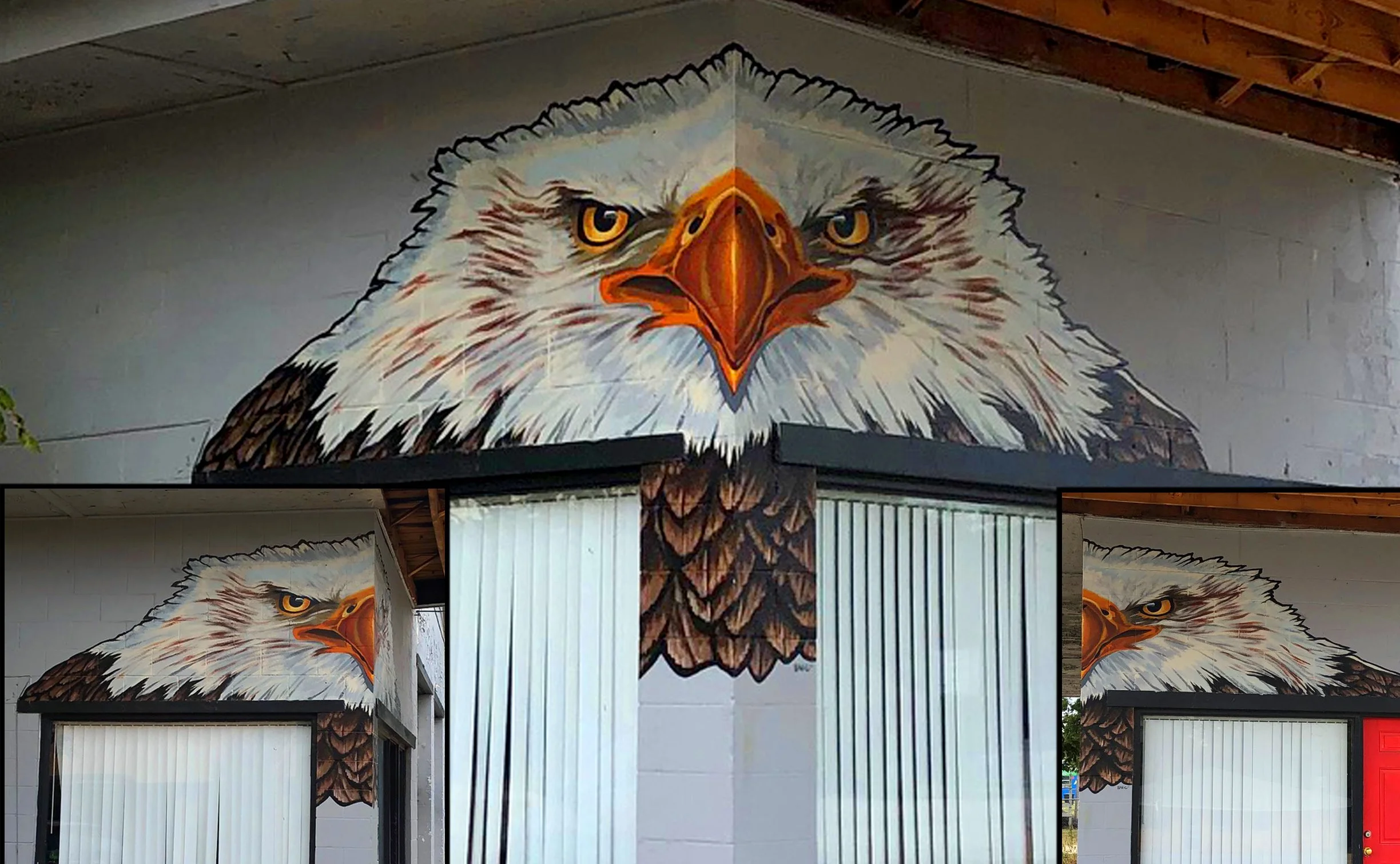Eagle_Wall_Collage01.jpg
