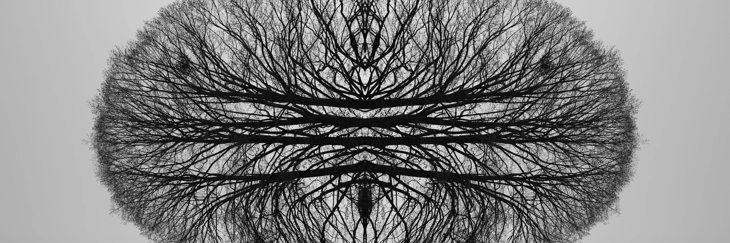 deep brain reorienting
