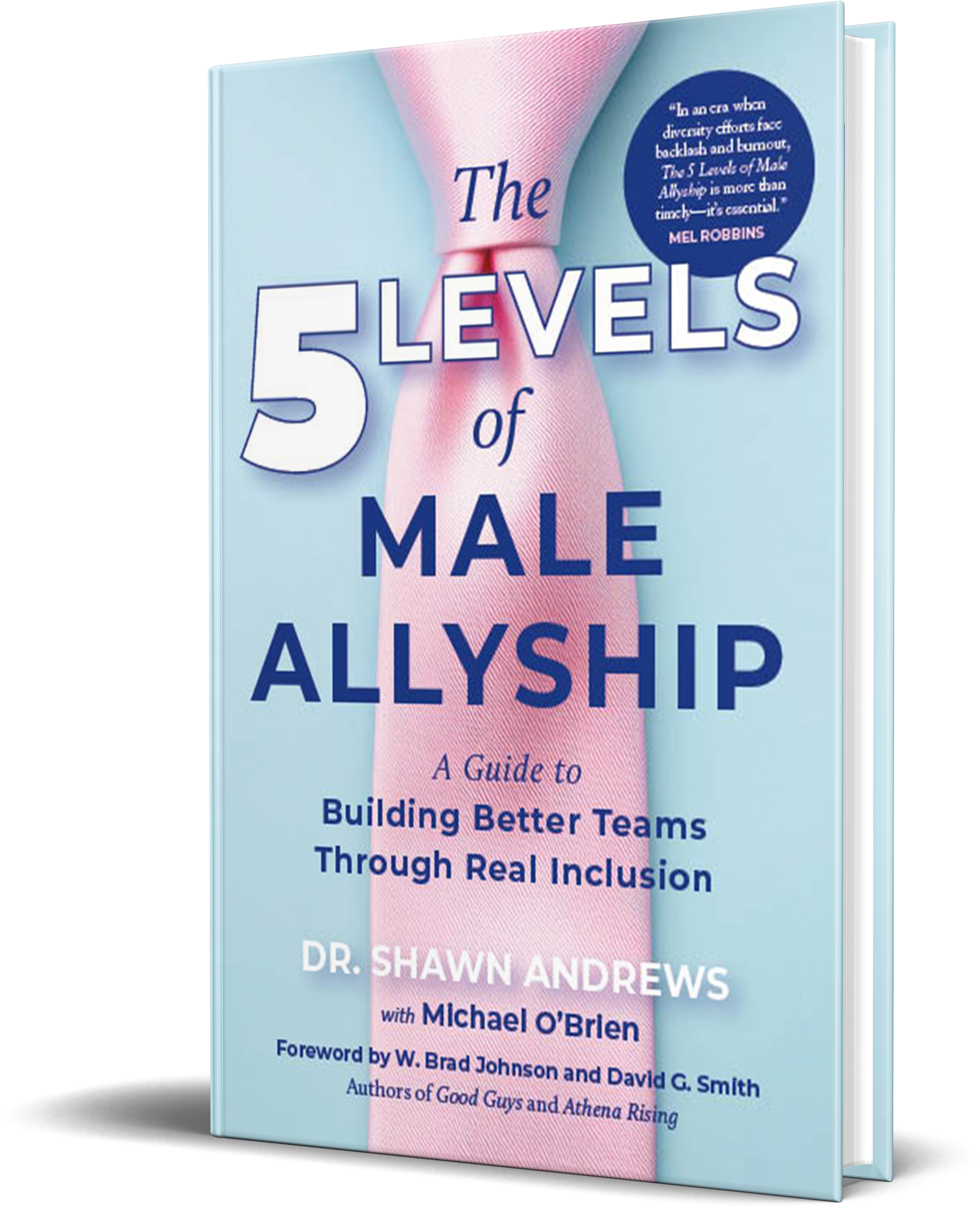 5 levels of male allyship cover