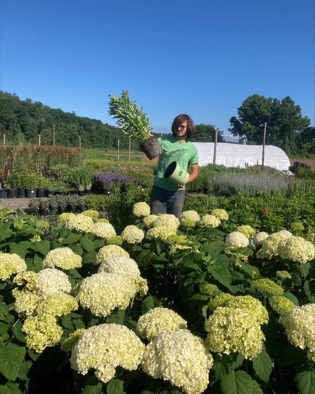 We collectively educate ourselves and others on sustainable landscapes. Often that leads to lots of discussions about plants. 

#earthdesignscooperative #workerowned #plants #landscapedesign #workerownedbusiness #ecologicaldesign #sustainablegarderns