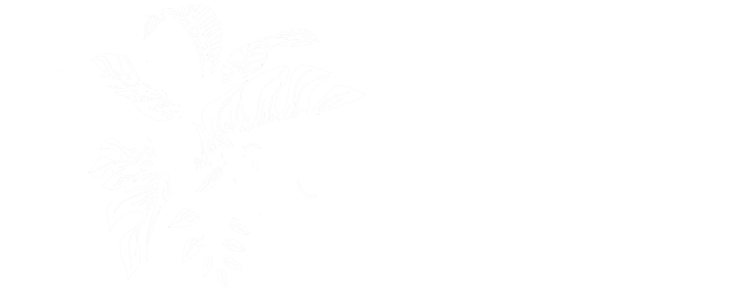 The Botanical Boutique 