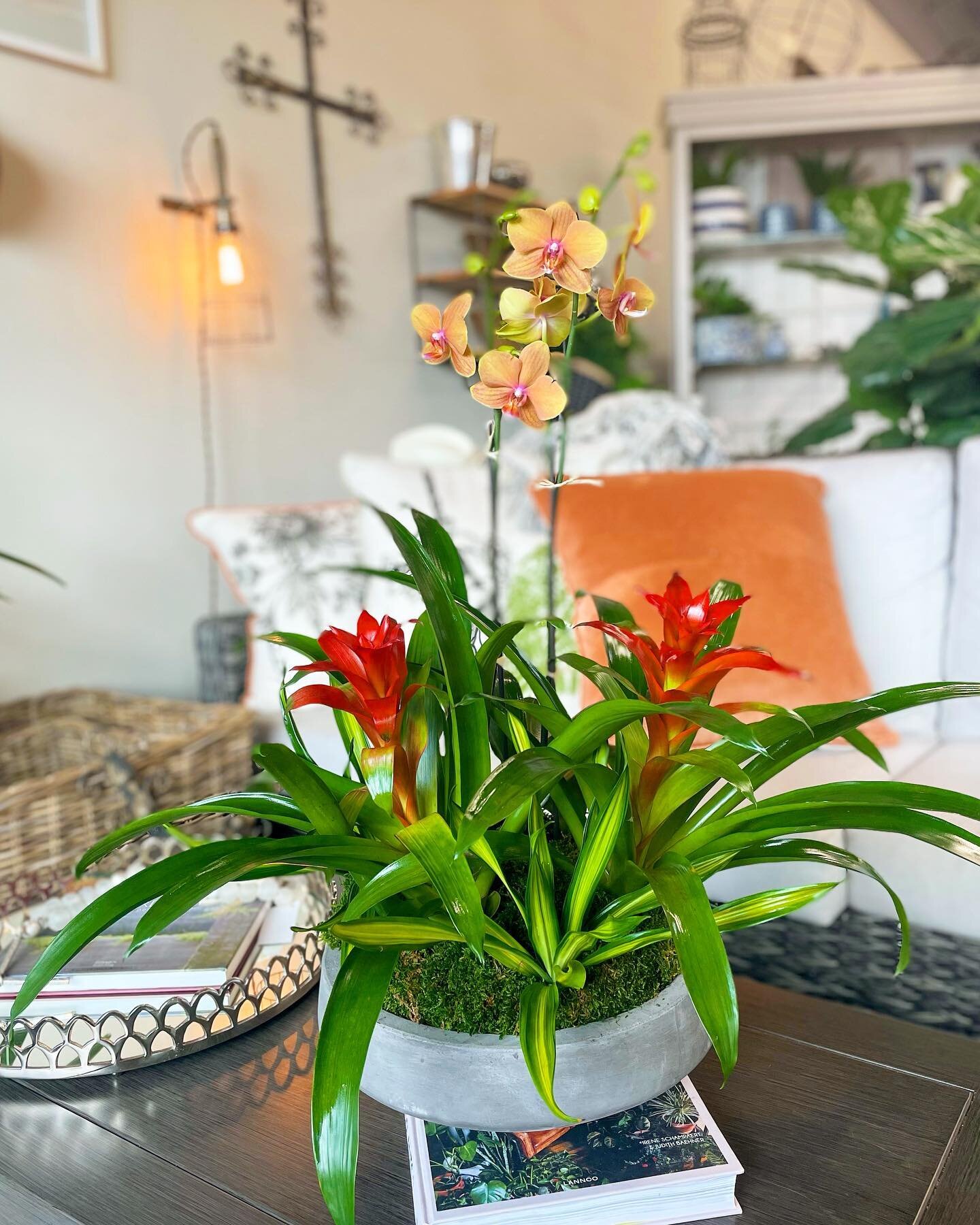 Now that we&rsquo;re back from Spring Break, it&rsquo;s time to get our homes in the Spring spirit!!🌿Come pick out a container or bring your own, and fill them with tropical plants or orchids to bring color to your home!