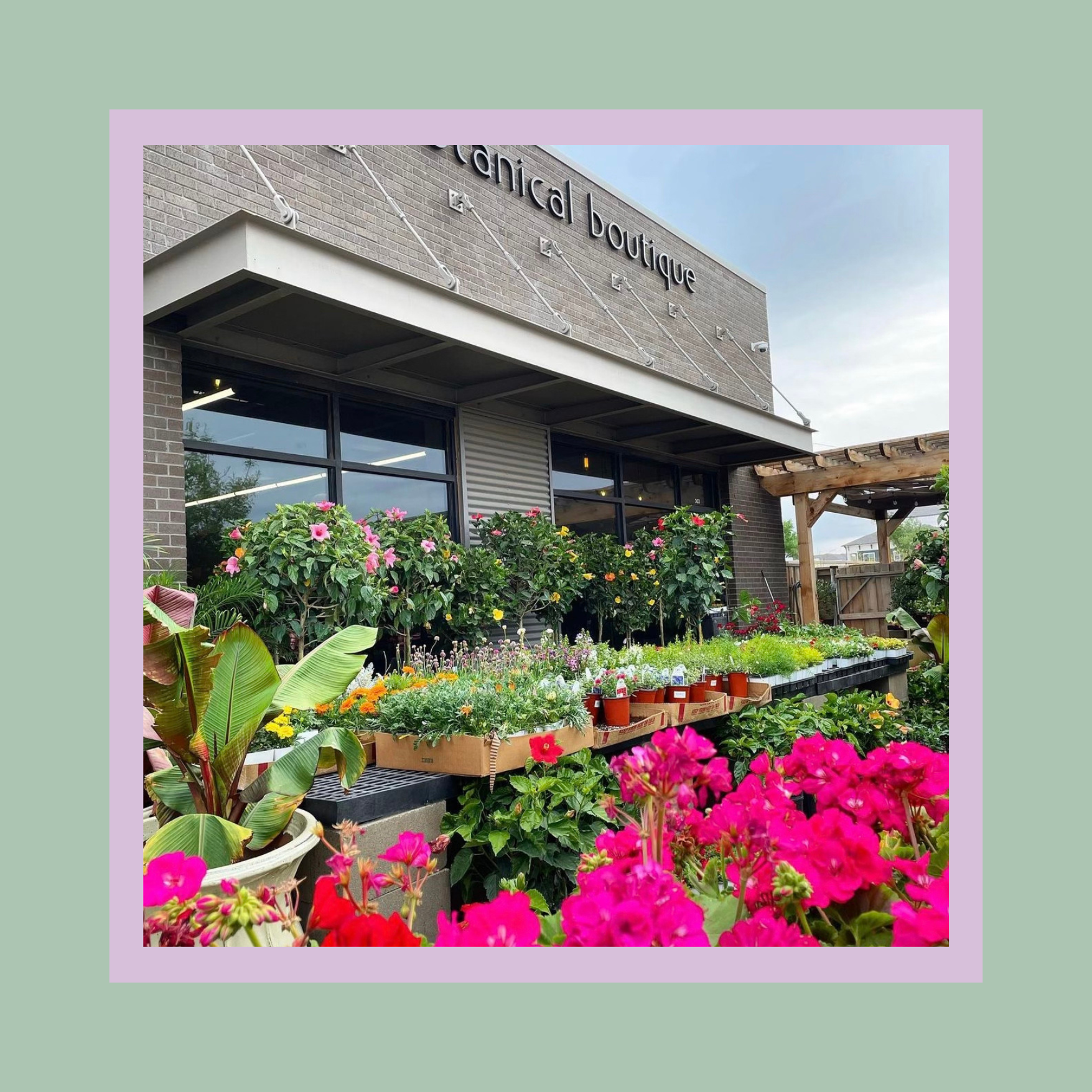 The Botanical Boutique