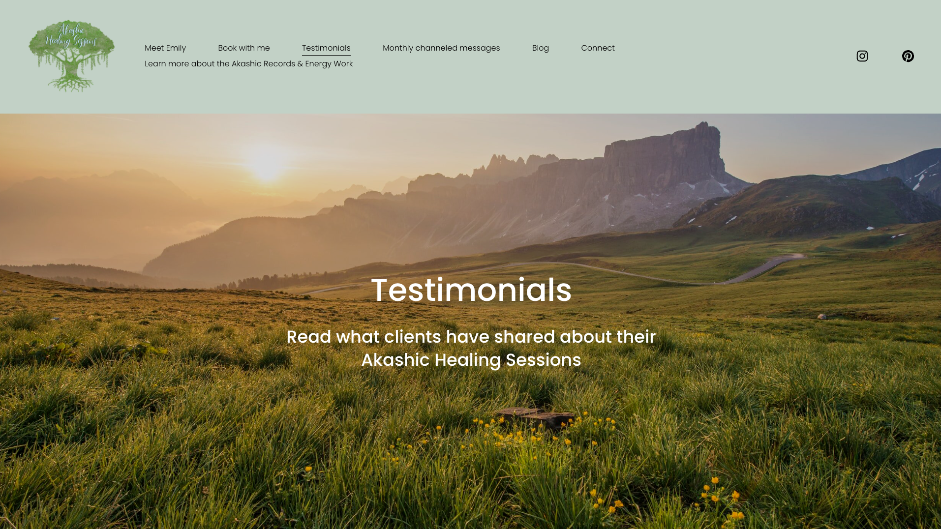 Website Design Contracting Assistant