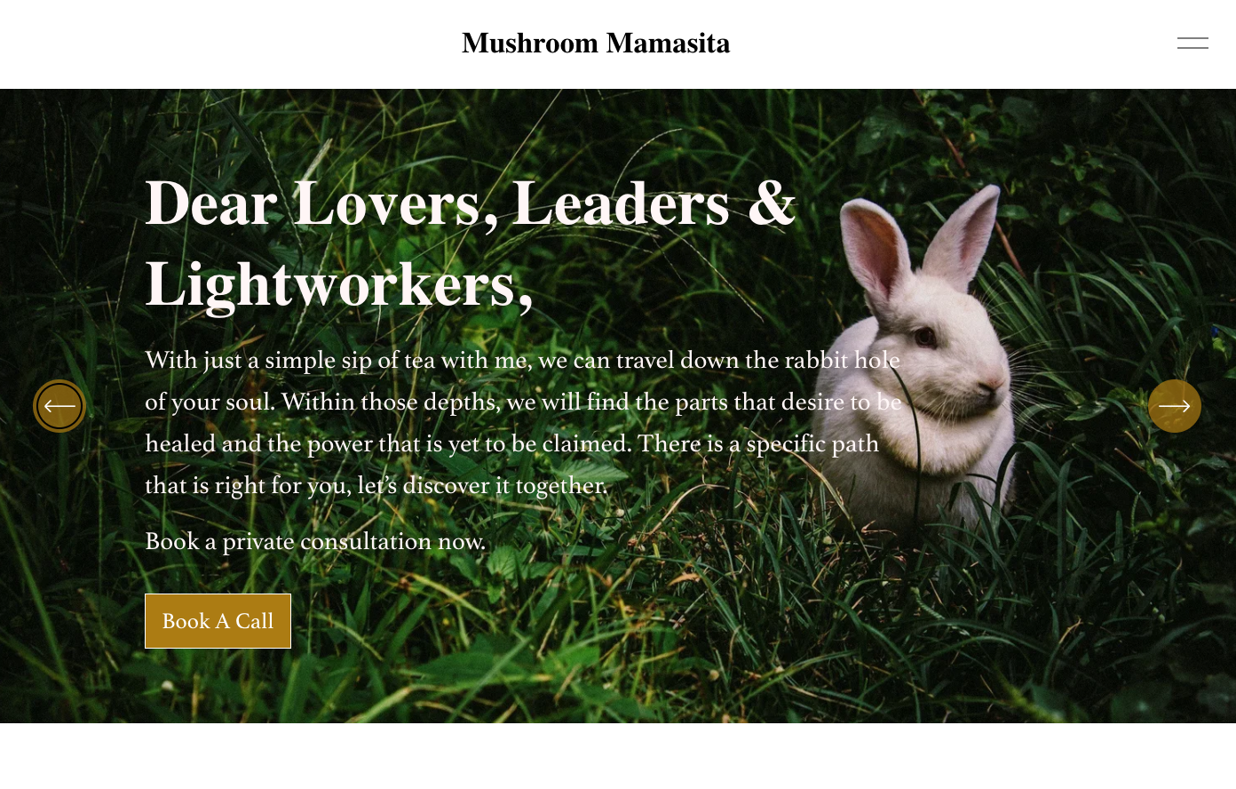 Website Administrator & Course Design
