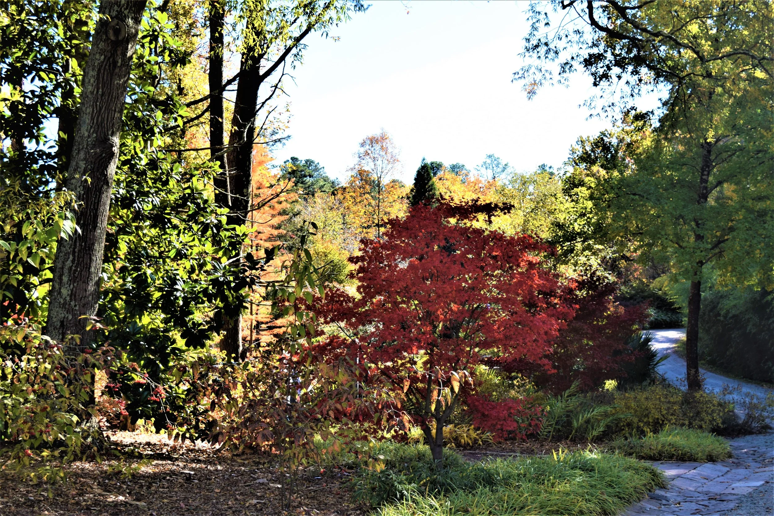 October 14 – 19, 2027 | Fall Foliage and Gardens of North Carolina