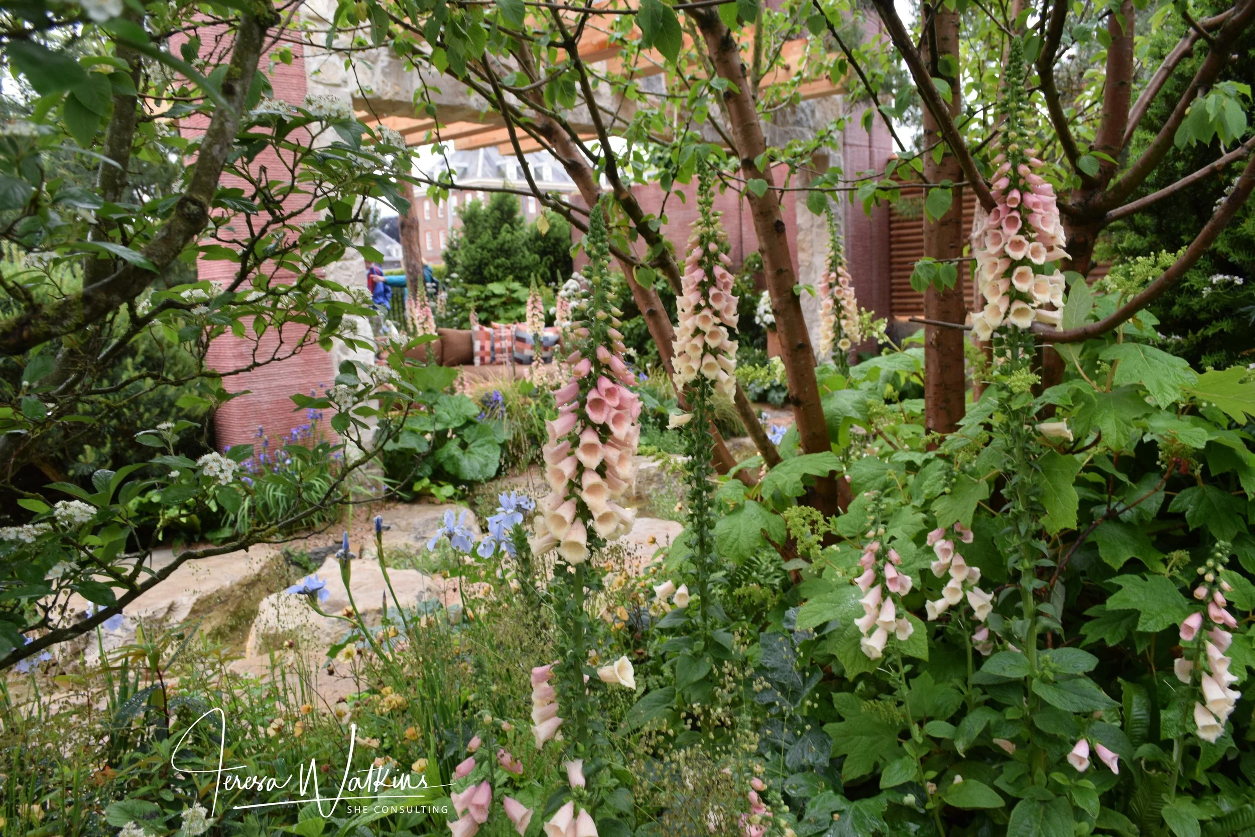 May 17 – 25, 2027 | Chelsea Flower Show and Best of English Gardens