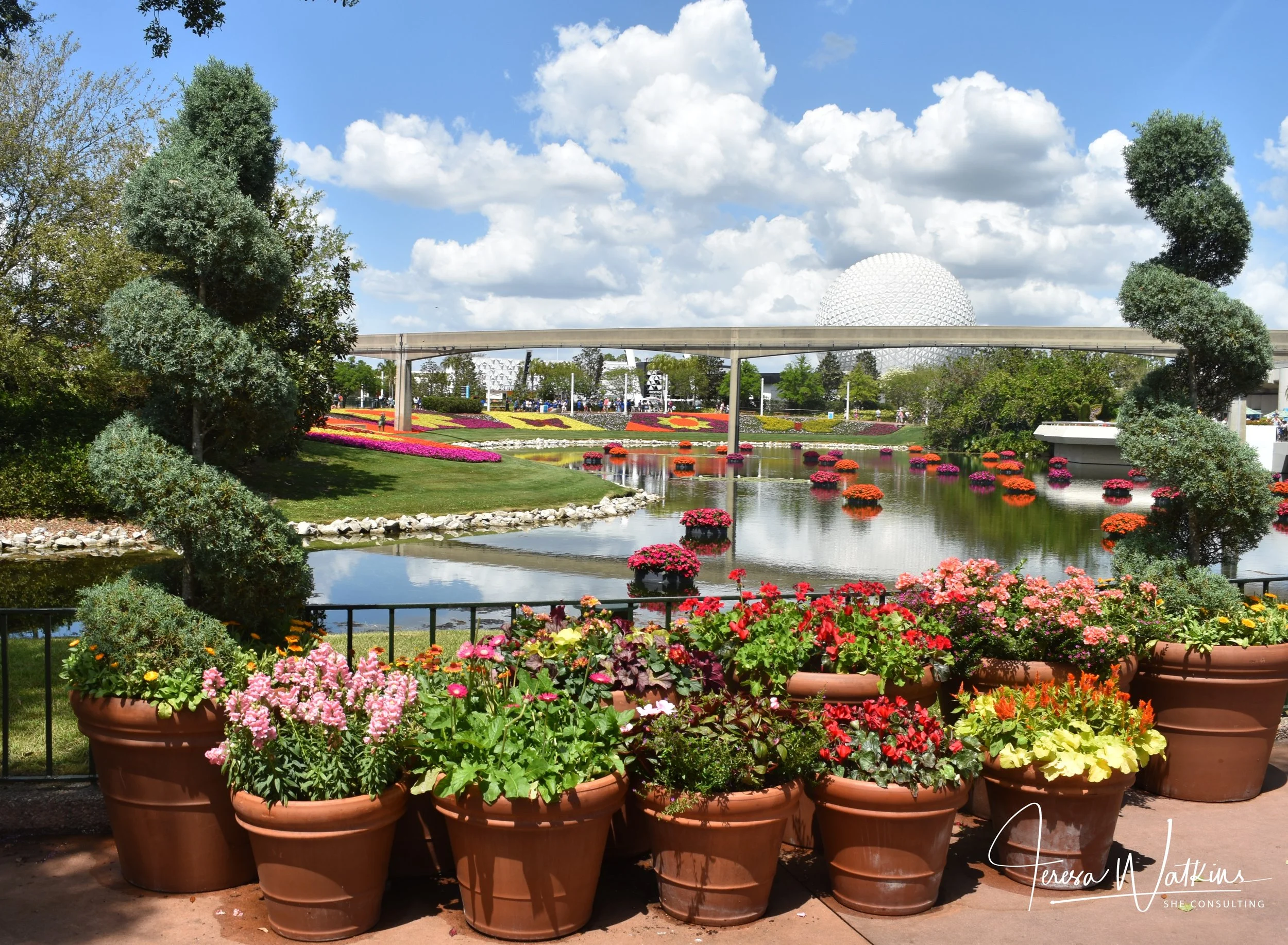 March 8 - 12 | Florida Spring Break for Gardeners