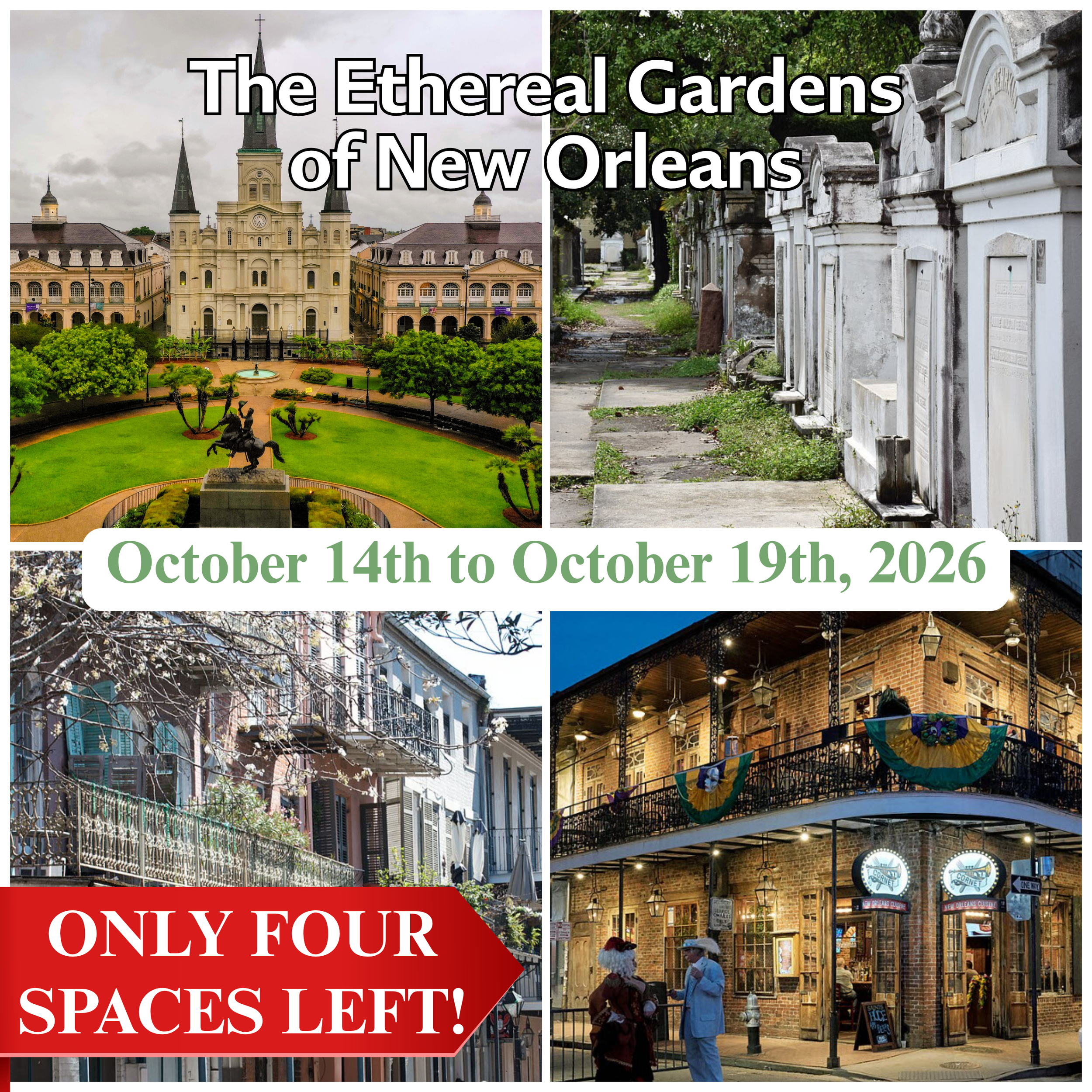 October 14 - 19, 2026 | The Ethereal Gardens of New Orleans
