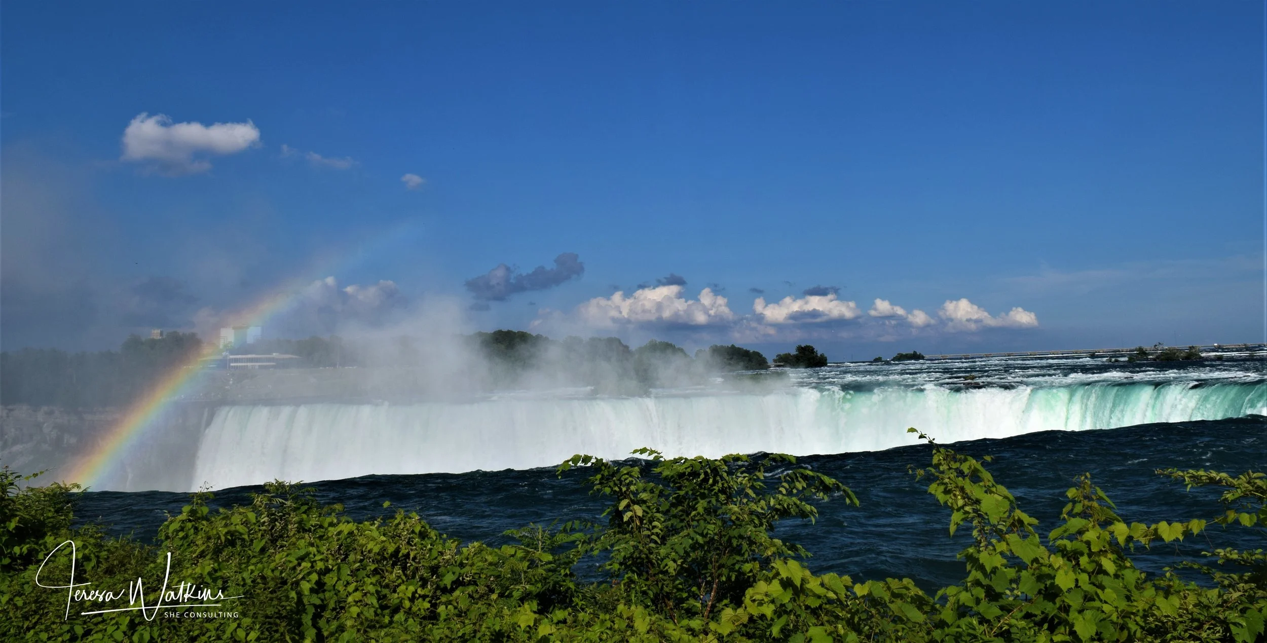 Niagara Falls on Buffalo Garden Walk on July 2019
