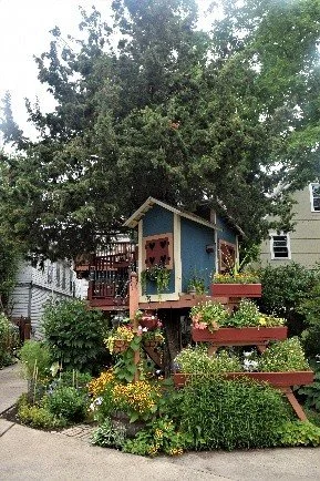 Open Gardens in Buffalo
