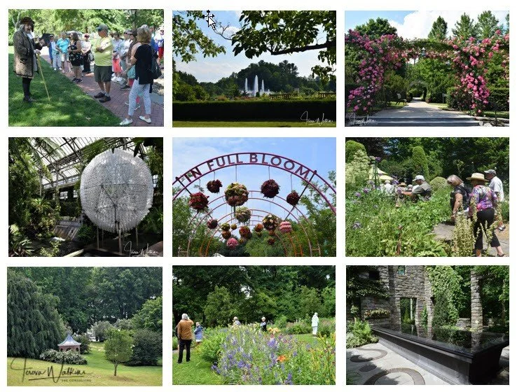 Brandywine Audioboom Graphic-1-1.jpg