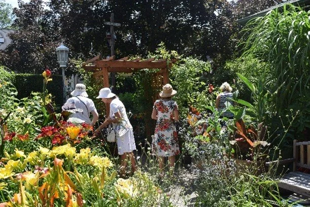 East Side Yard Gardens in Buffalo