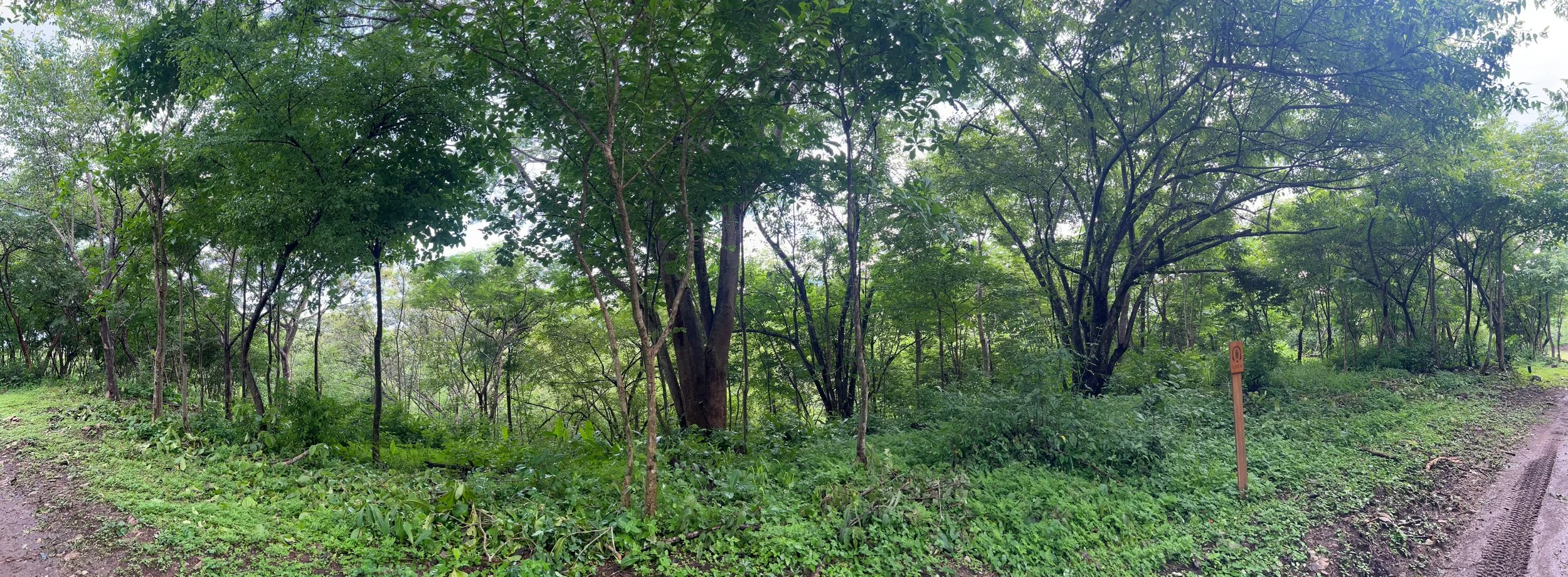 1WhatsApp Image 2025-07-29 at 11.41.27 PM.jpeg