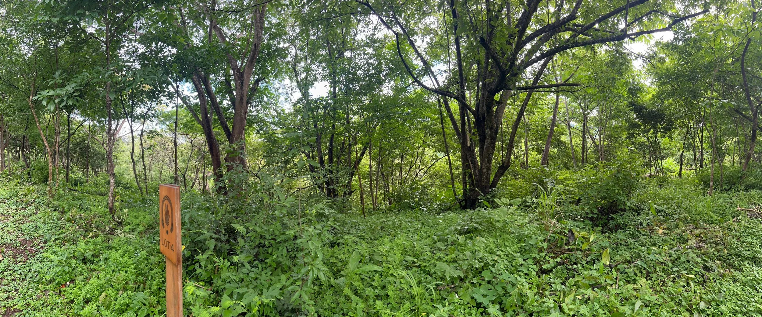 2WhatsApp Image 2025-07-29 at 11.41.29 PM.jpeg