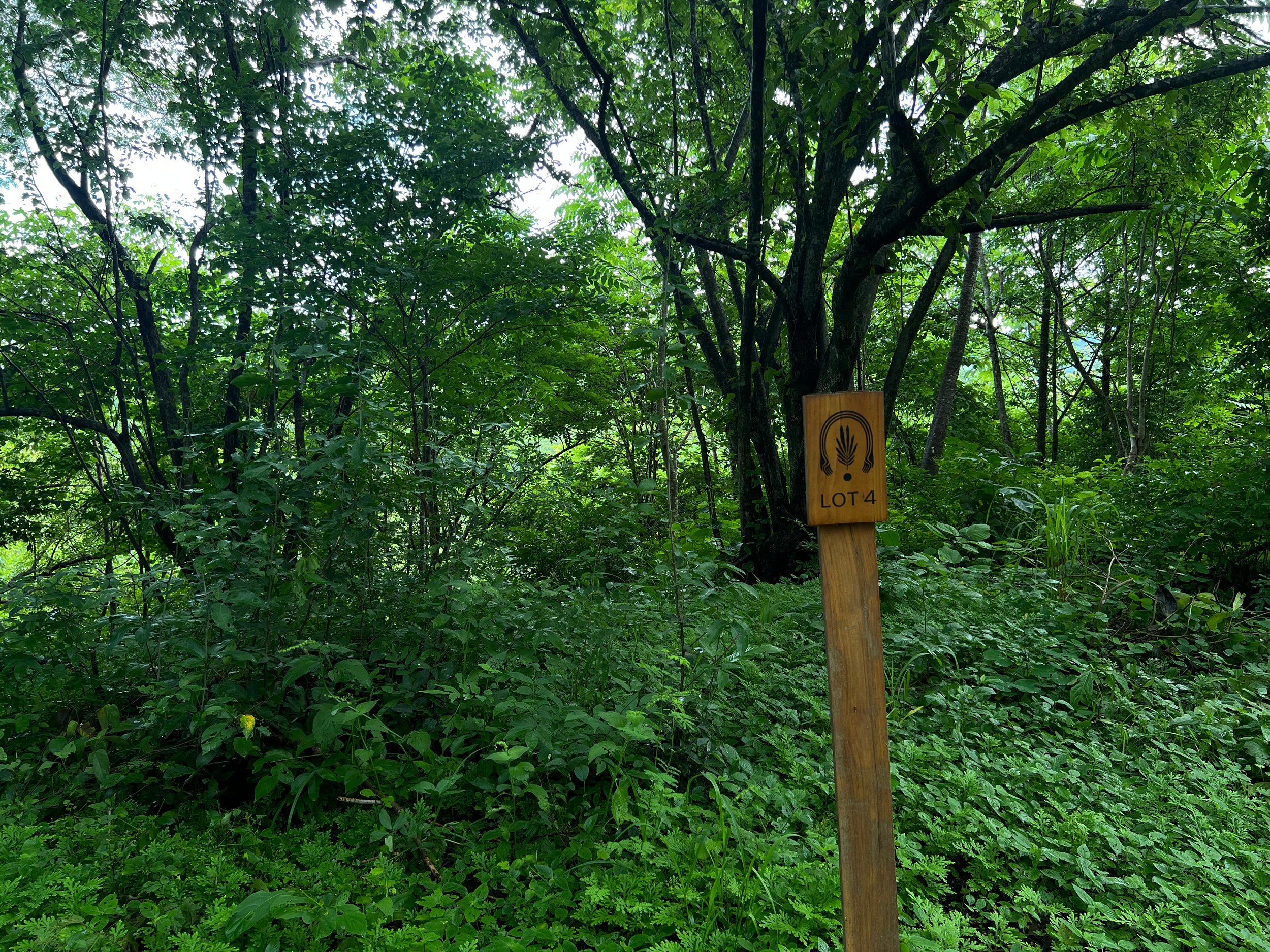 WhatsApp Image 2025-07-29 at 11.41.27 PM.jpeg