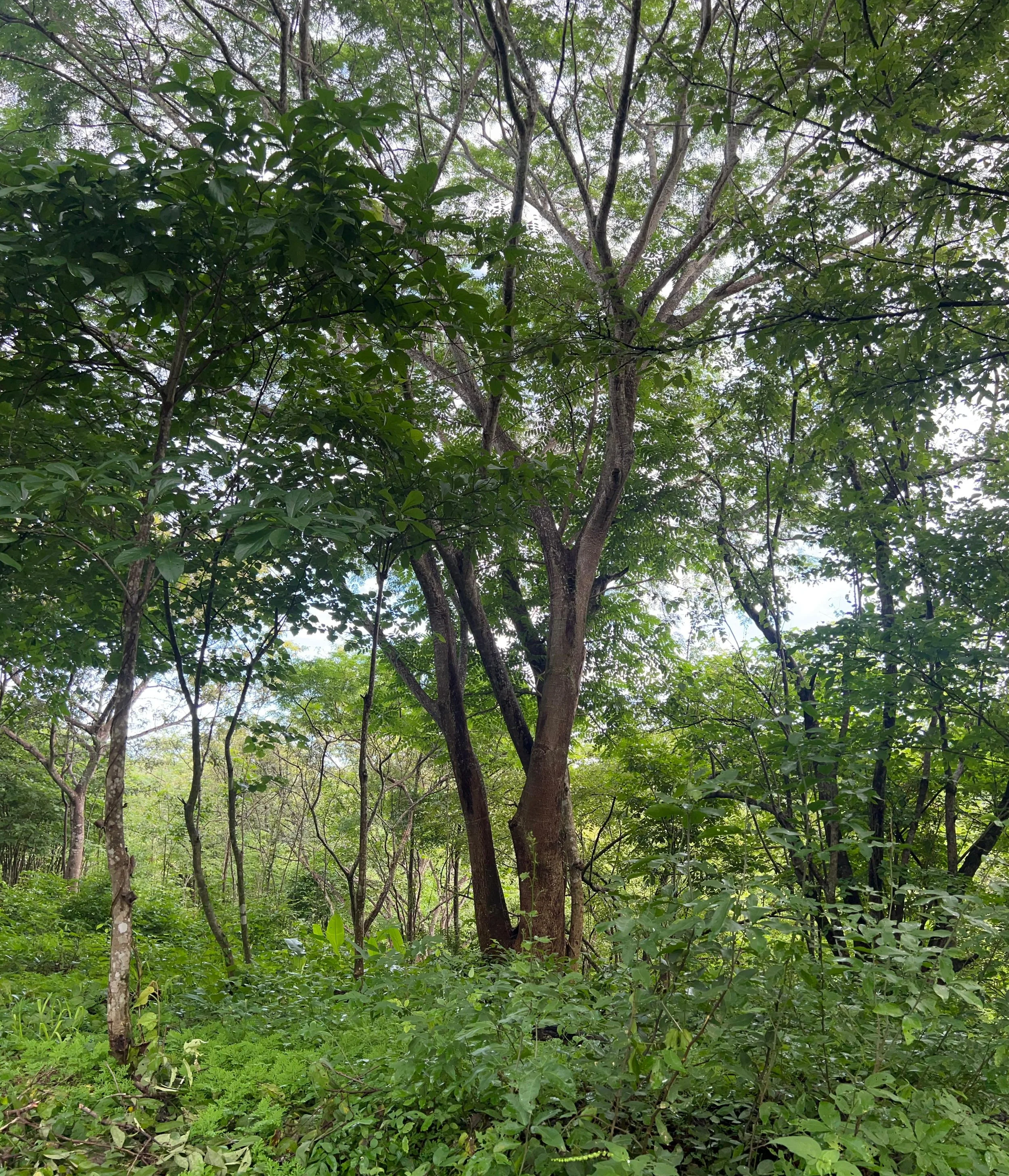 3WhatsApp Image 2025-07-29 at 11.41.29 PM (1).jpeg