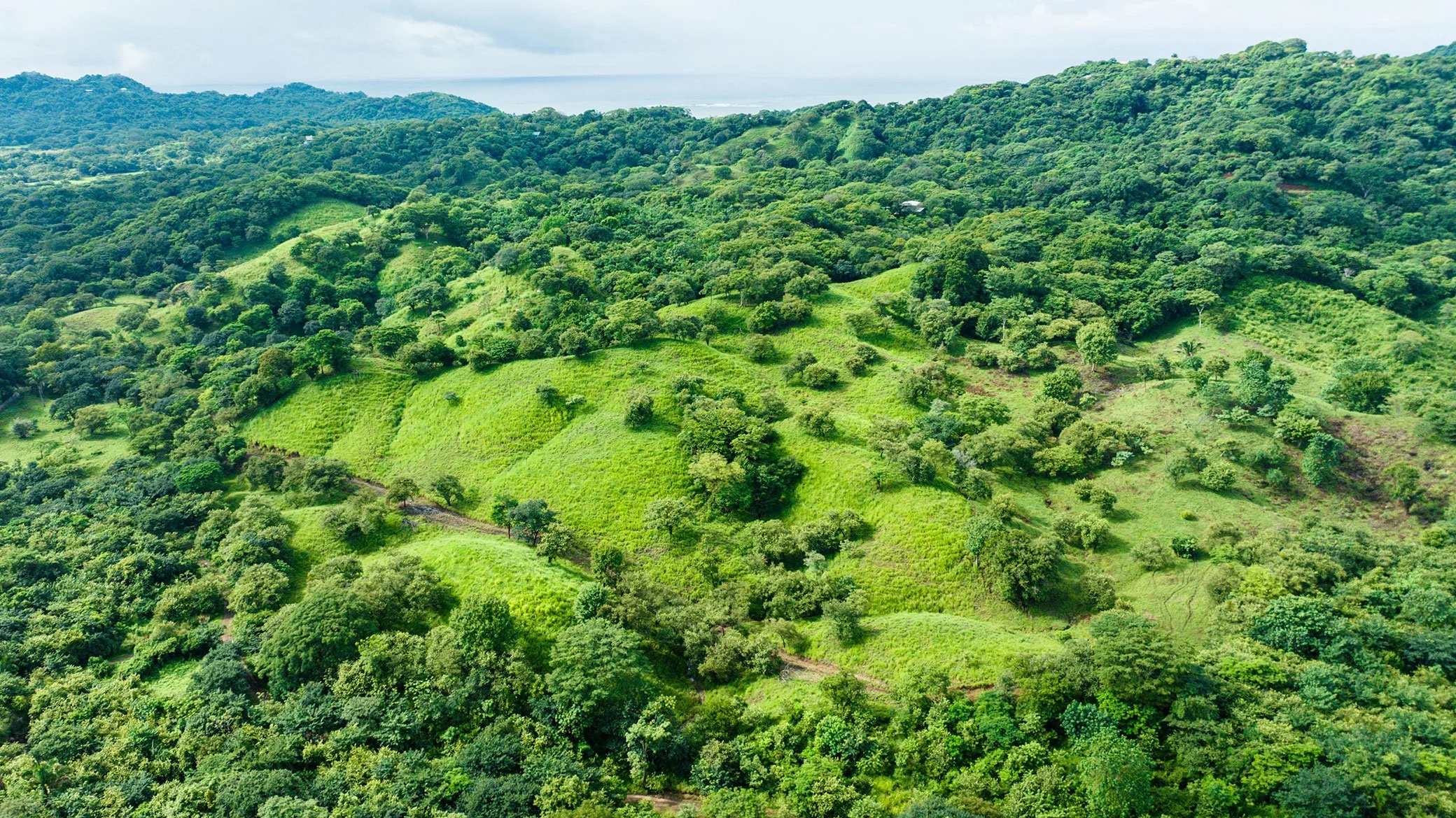 Before You Buy Land in Nosara: Water, Title, Access, and Flooding