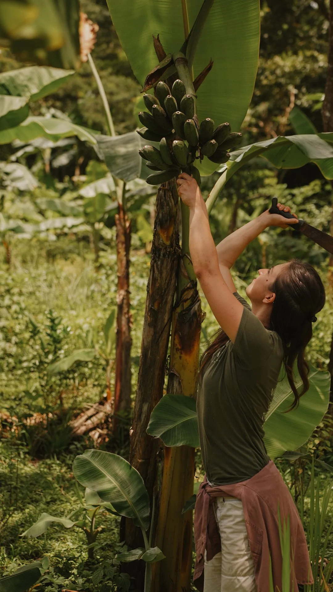 Community Farming Morning at Finca La Esperanza