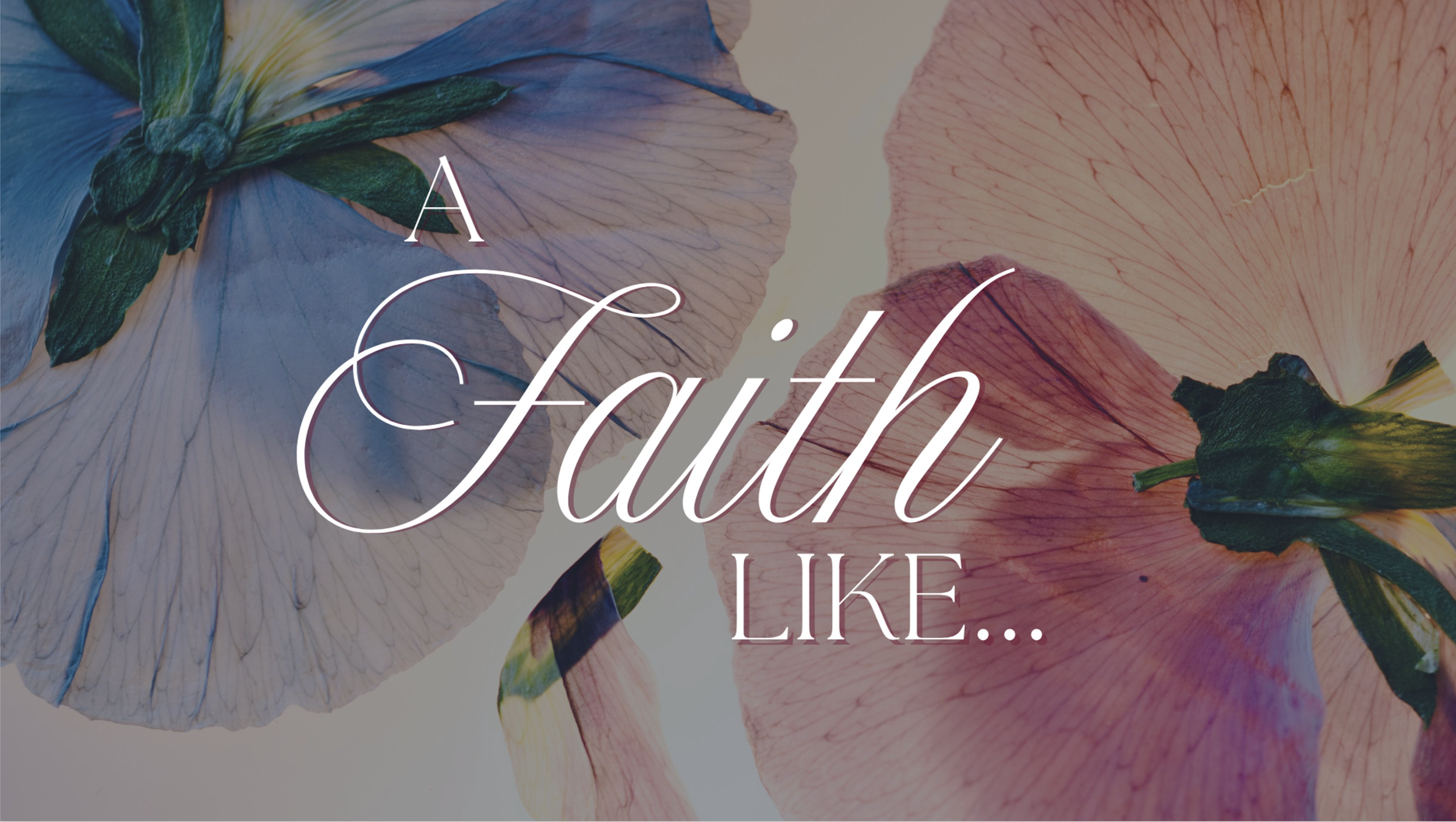 By Faith ...