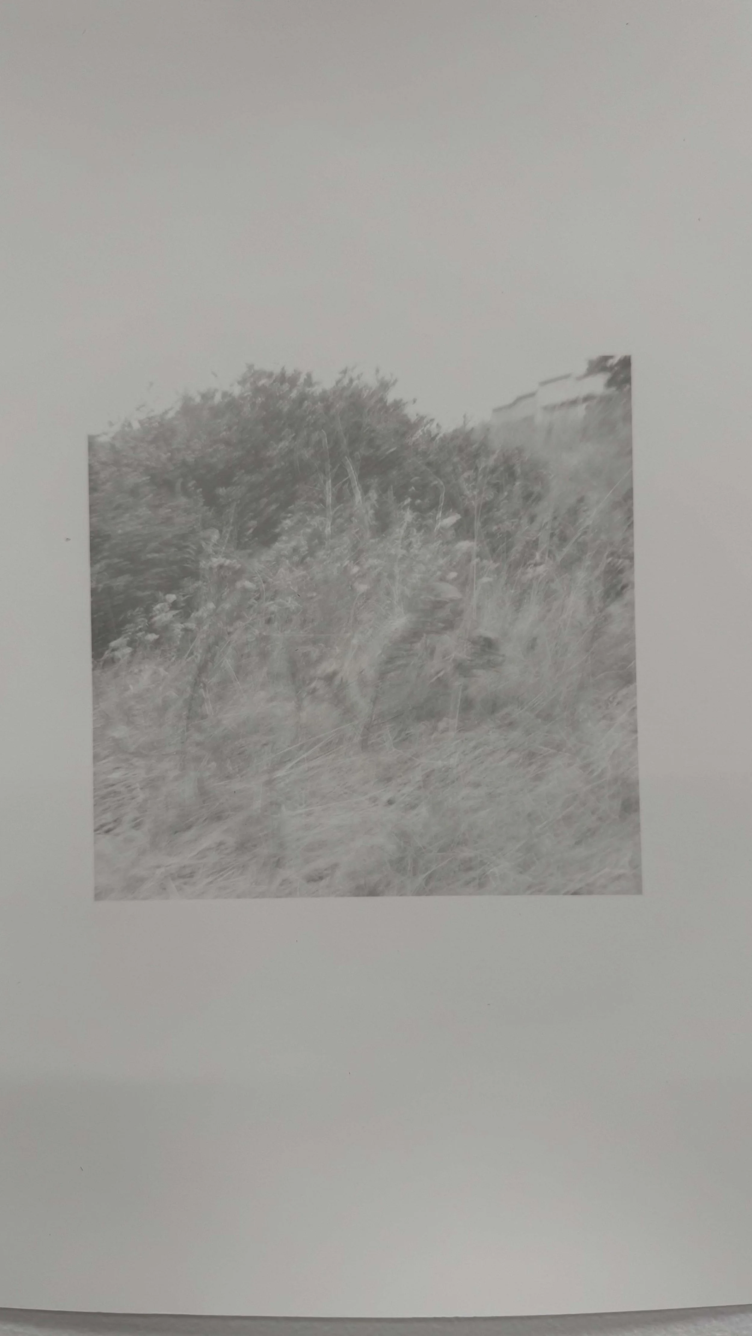 Lynse Cooper: Pop Up show June 2026. Detail Image