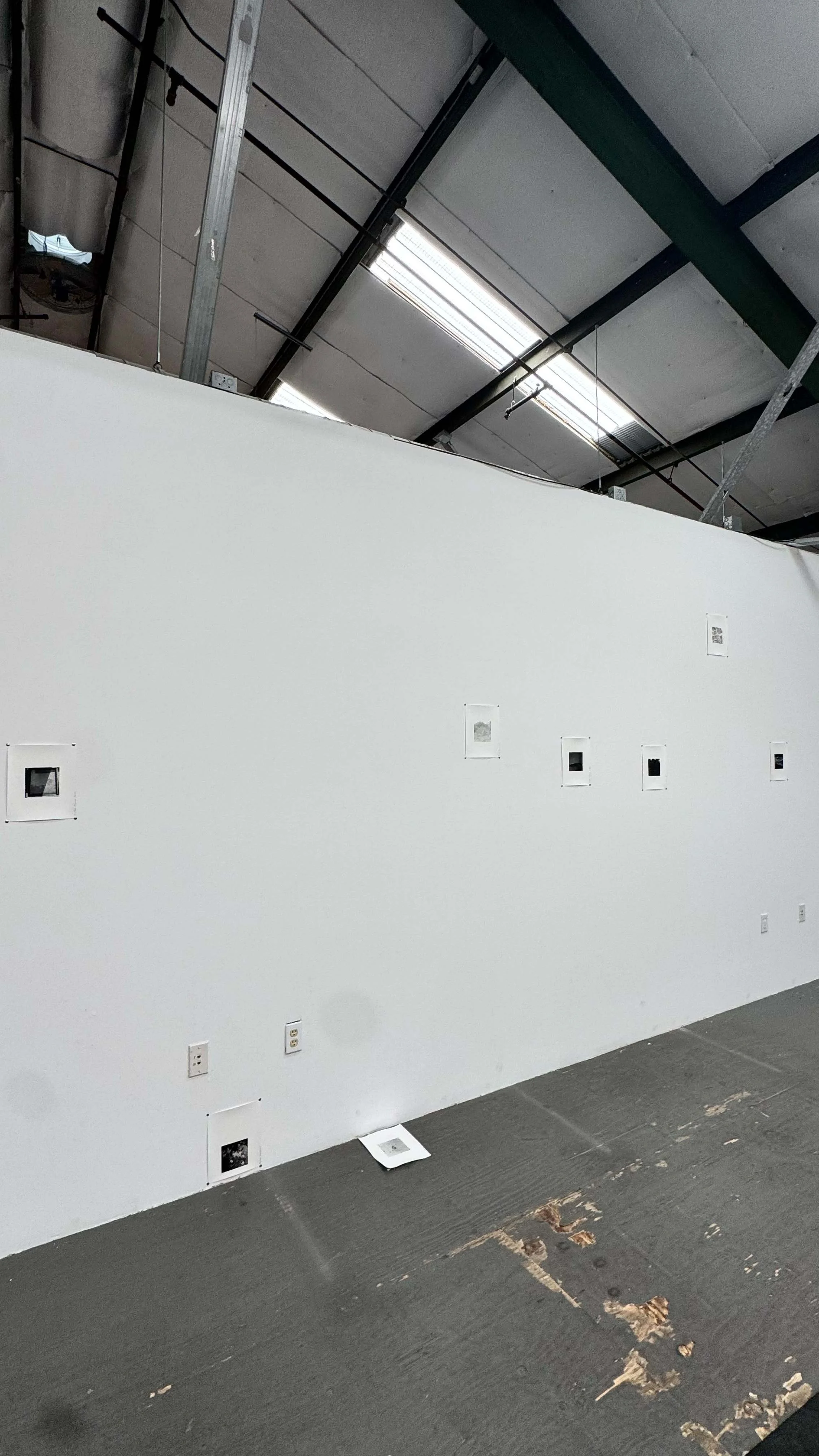 Lynse Cooper: Pop Up show June 2026