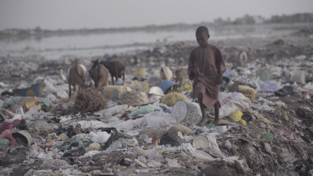 THE HOLY GOATS