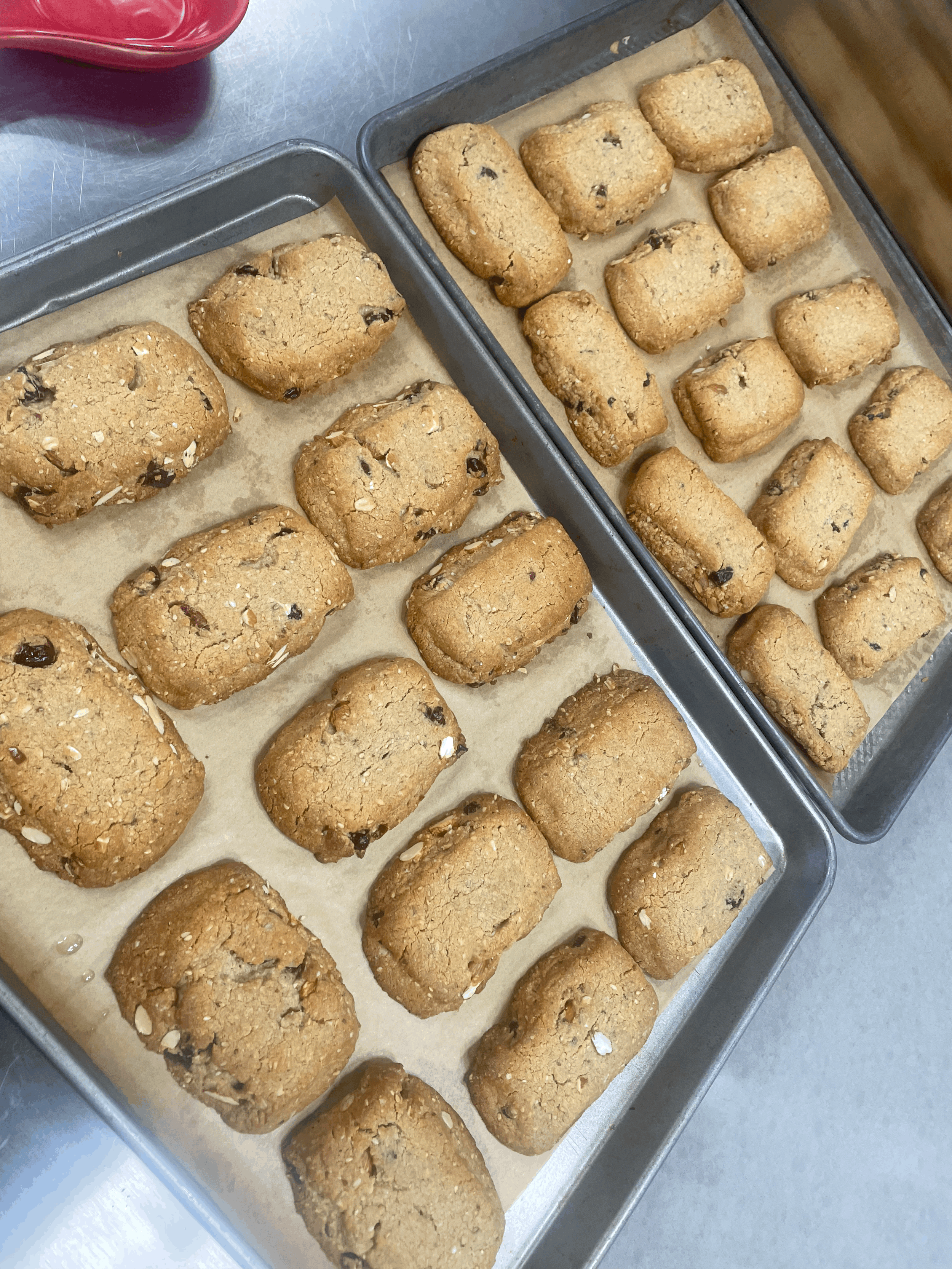 Protein Power Bars – 12g Protein Each (Available for Shipping, 20-Bar Minimum)