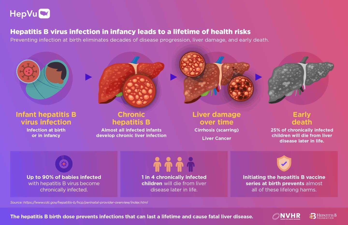 🚨 Delayed protection puts babies at risk! 🚨

Did you know? Babies exposed to hepatitis B at birth have the highest chance of lifelong infection. 😢

➡️ Up to 90% of infants infected in their first year become chronically infected
➡️ 1 in 4 of these