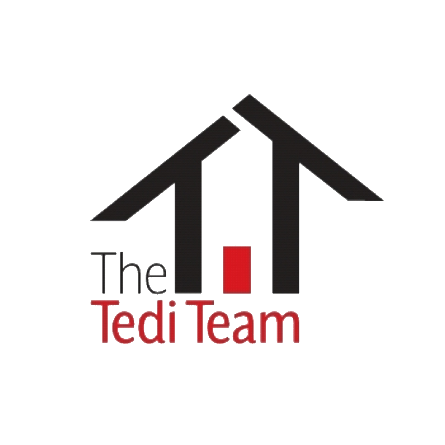 The Tedi Team Real Estate Group