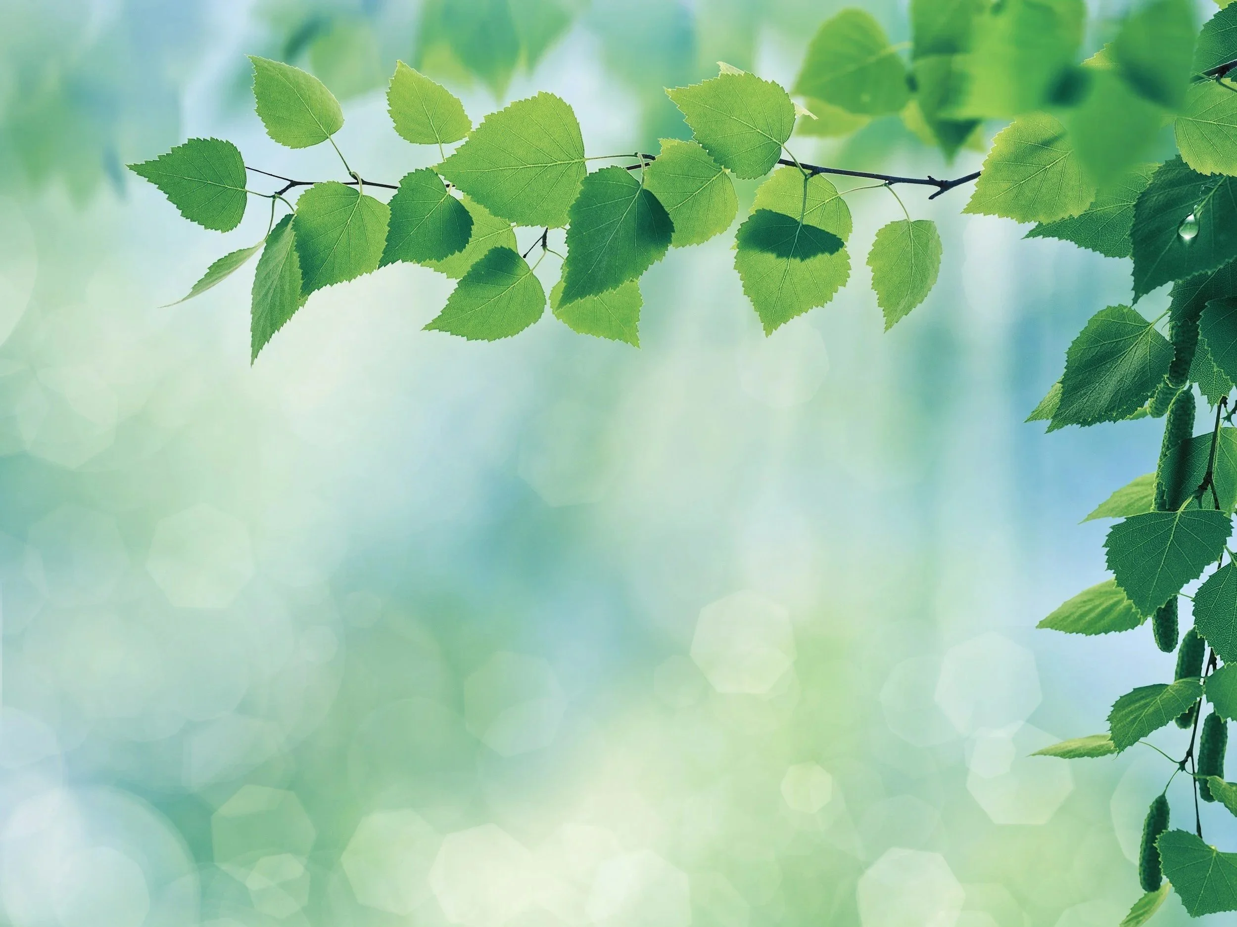 Why Responsible Adults Are Cautious About PMAs, and Why That Caution Is Correct