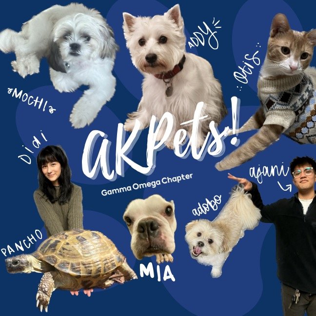 Meet the real MVPs of AK&Psi;&mdash;our AKPets! 🐾💙 From study buddies to stress relievers, these furry friends keep our Brotherhood going strong.

Interested in joining the Gamma Omega Brotherhood? ⇩

-we have rush every FQ and SQ
-applications ope