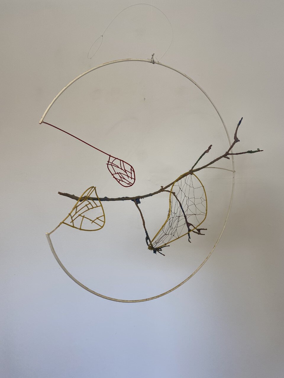 #6 - 24"x8"x24"