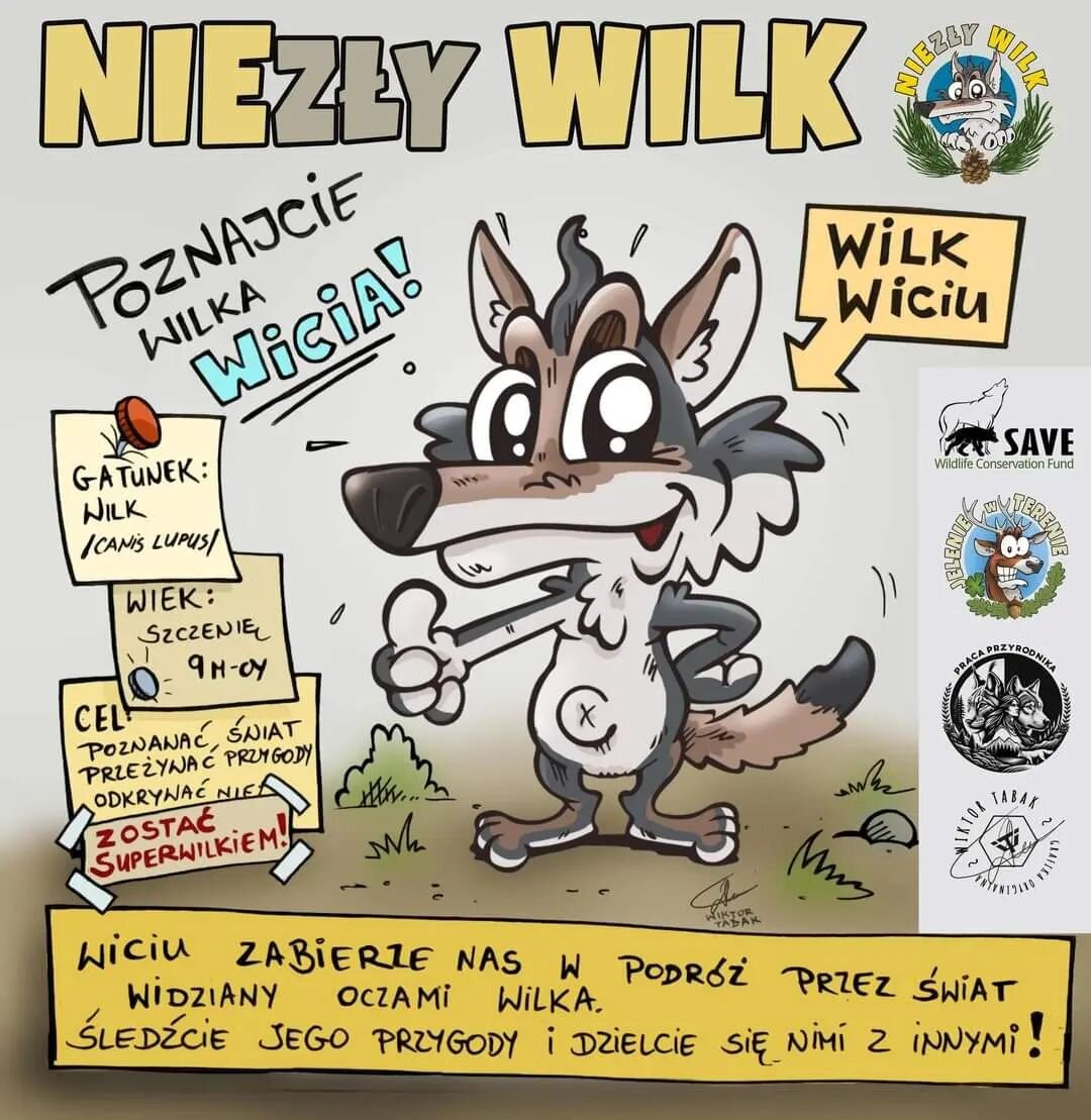 Poznajcie wilka Wicia! 😃🐺

Wiciu to wilcze szczenię, kt&oacute;re powoli dorasta i poznaje, jak to jest być wilkiem. Razem z nim i my będziemy przez kolejny rok, a może i dłużej, wędrować wilczymi ścieżkami i oglądać świat z wilczej perspektywy. Śl