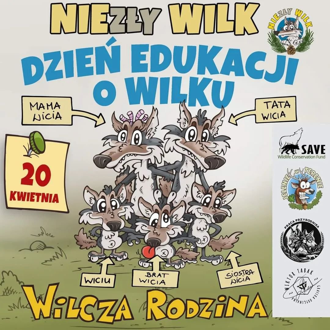 2️⃣0️⃣ kwietnia obchodzimy Dzień Edukacji o Wilku! 🐺

Edukacja to pierwszy krok do zmiany, dlatego jest jednym z filar&oacute;w naszej działalności. 👩&zwj;🏫 Dzięki lepszemu zrozumieniu możemy lepiej wsp&oacute;lnie, jako społeczeństwo, chronić śro