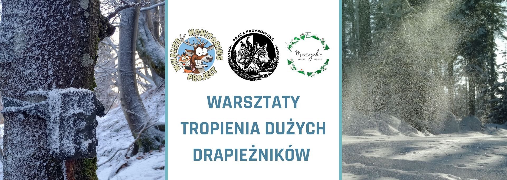 Wejdź w świat dużych drapieżników -warsztaty dla pasjonatów w Karpatach!